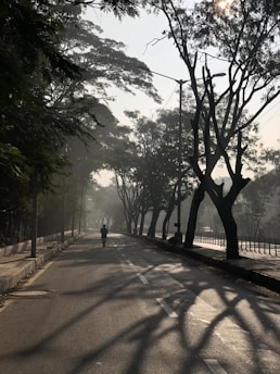 A serene outdoor scene with a person jogging on a tree-lined path during sunrise.