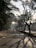 A confident middle-aged man jogging outdoors in a park during early morning light.