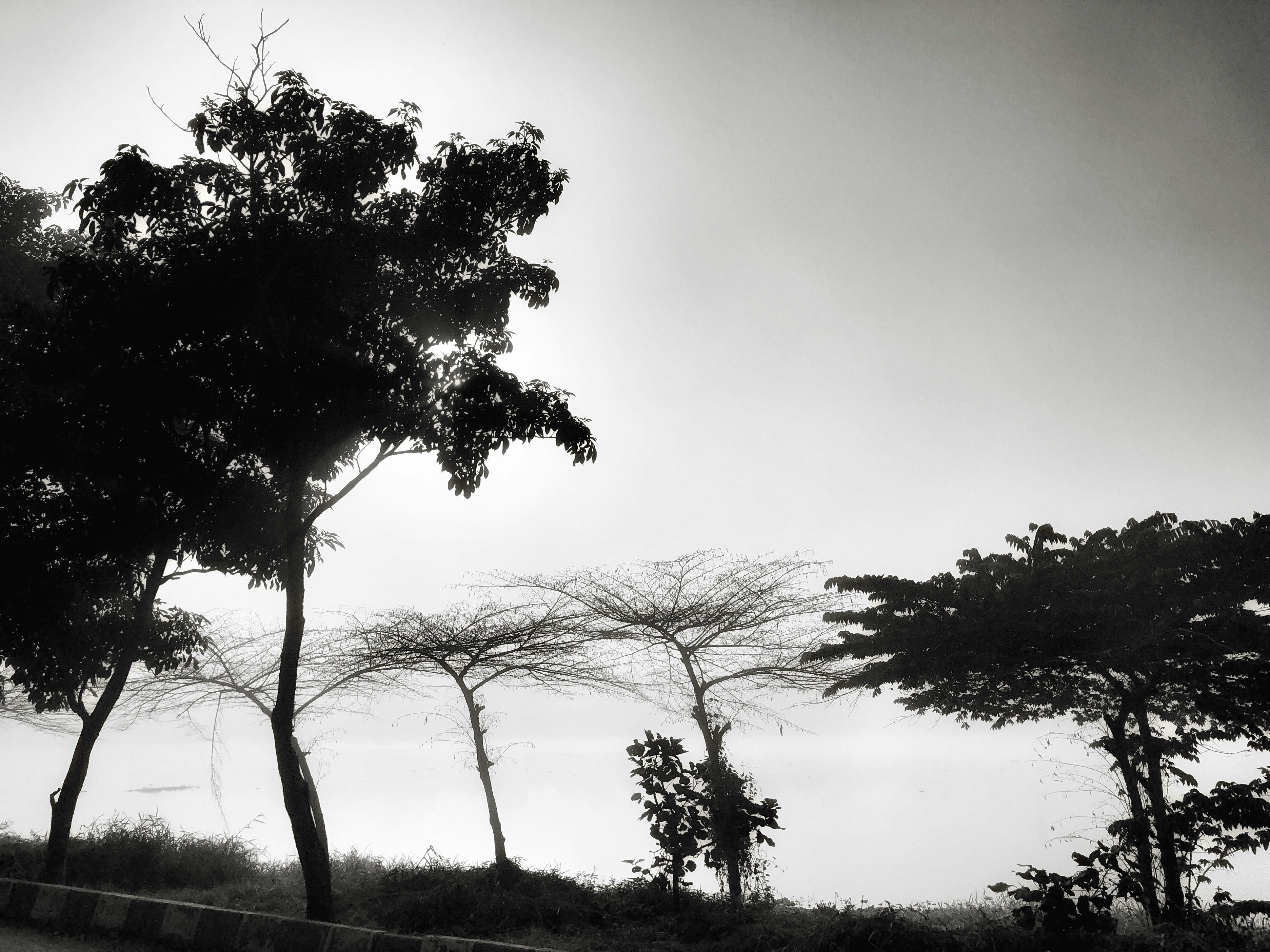 Photo by kannankanu