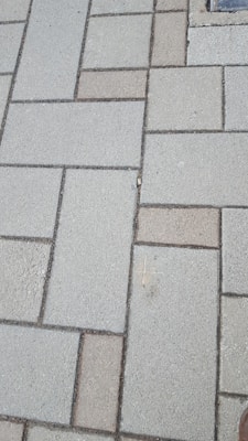 Concrete paving stones arranged in a rectangular pattern, with a mix of light and dark shades. The surface appears slightly rough and weathered.