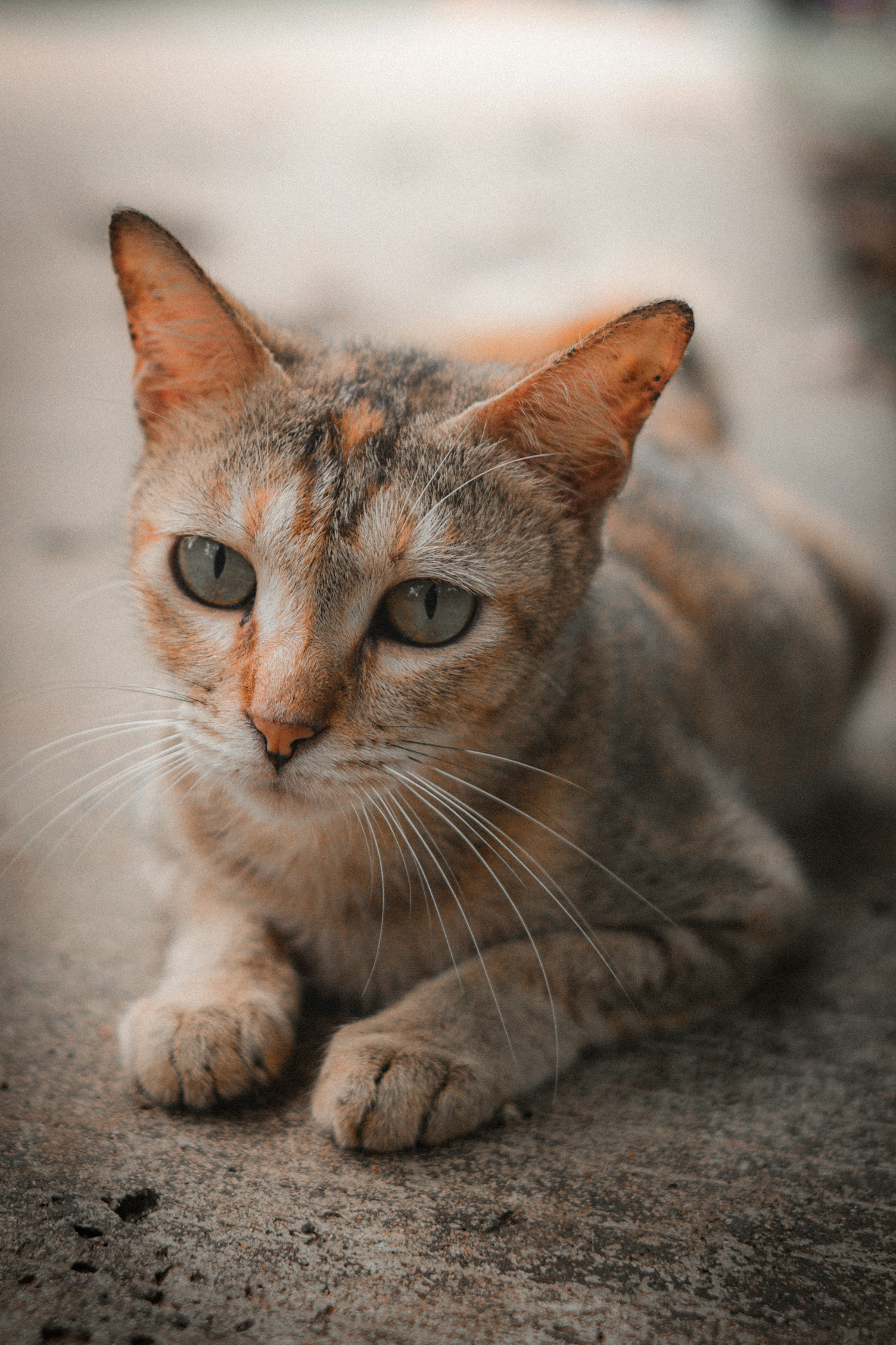 Photo by minkhantportfolio