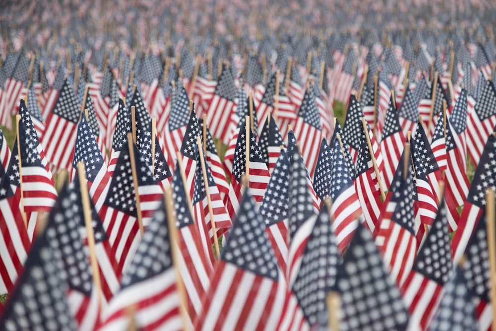 a large group of flags