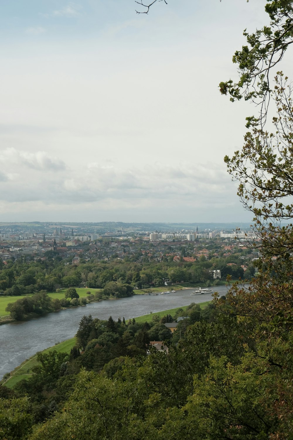 a river with trees and a city in the background