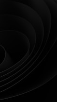 a black circle with a black center