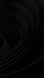 a black circle with a black center