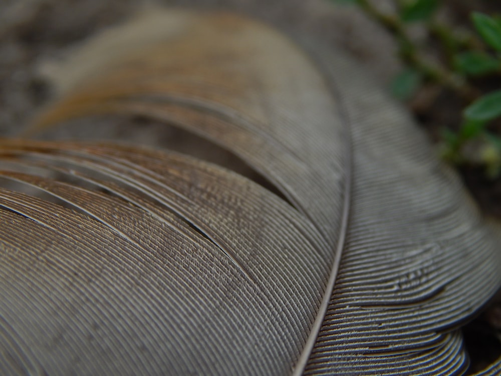 a close up of a tire