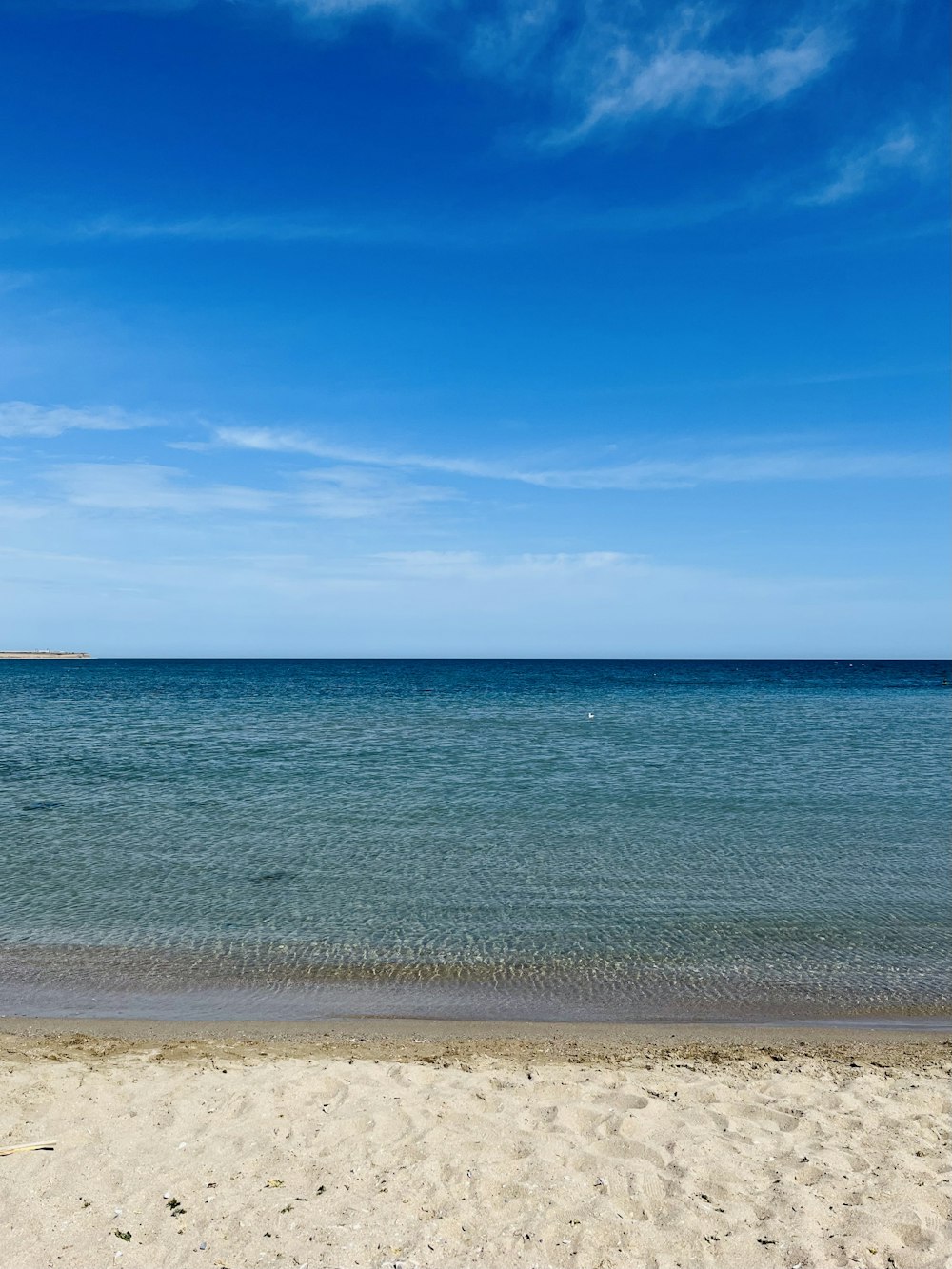 a beach with a body of water in the background