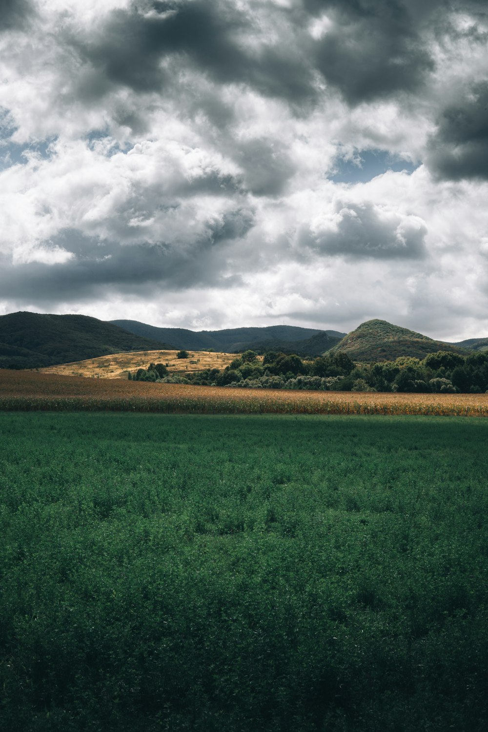 a large green field with hills in the background