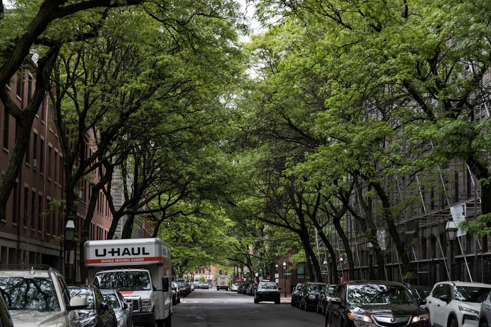 a street with cars and trees on the side with Cours Mirabeau in the background