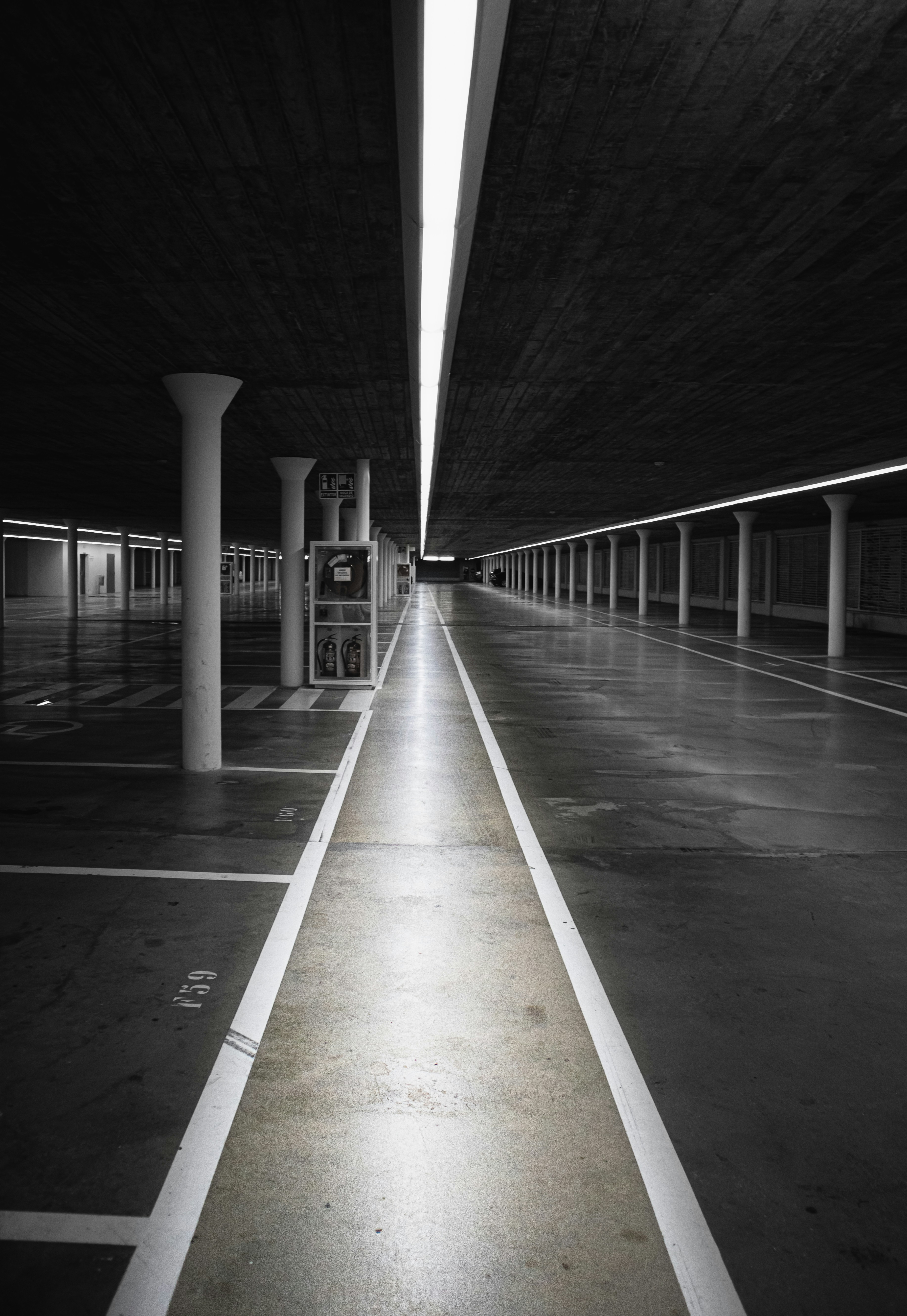 Photo by szymoniec77