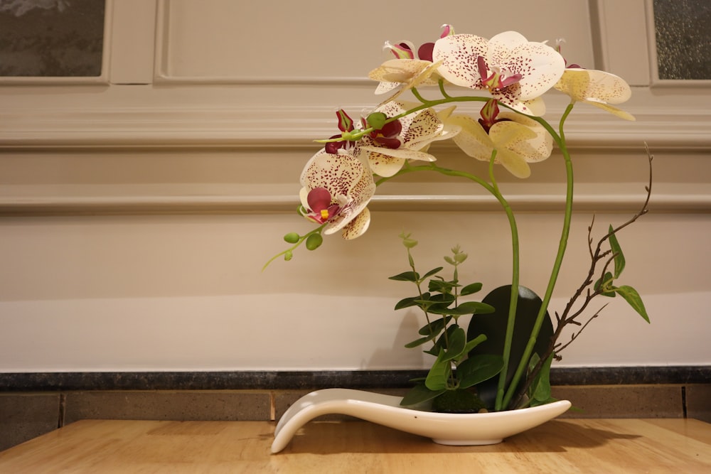 a white flower in a pot