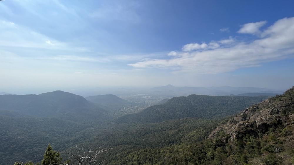 un paesaggio con colline e alberi