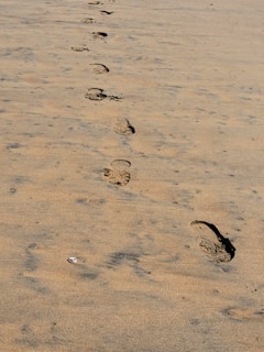 A beachside path with a surrogate capturing the waves and sand underfoot.