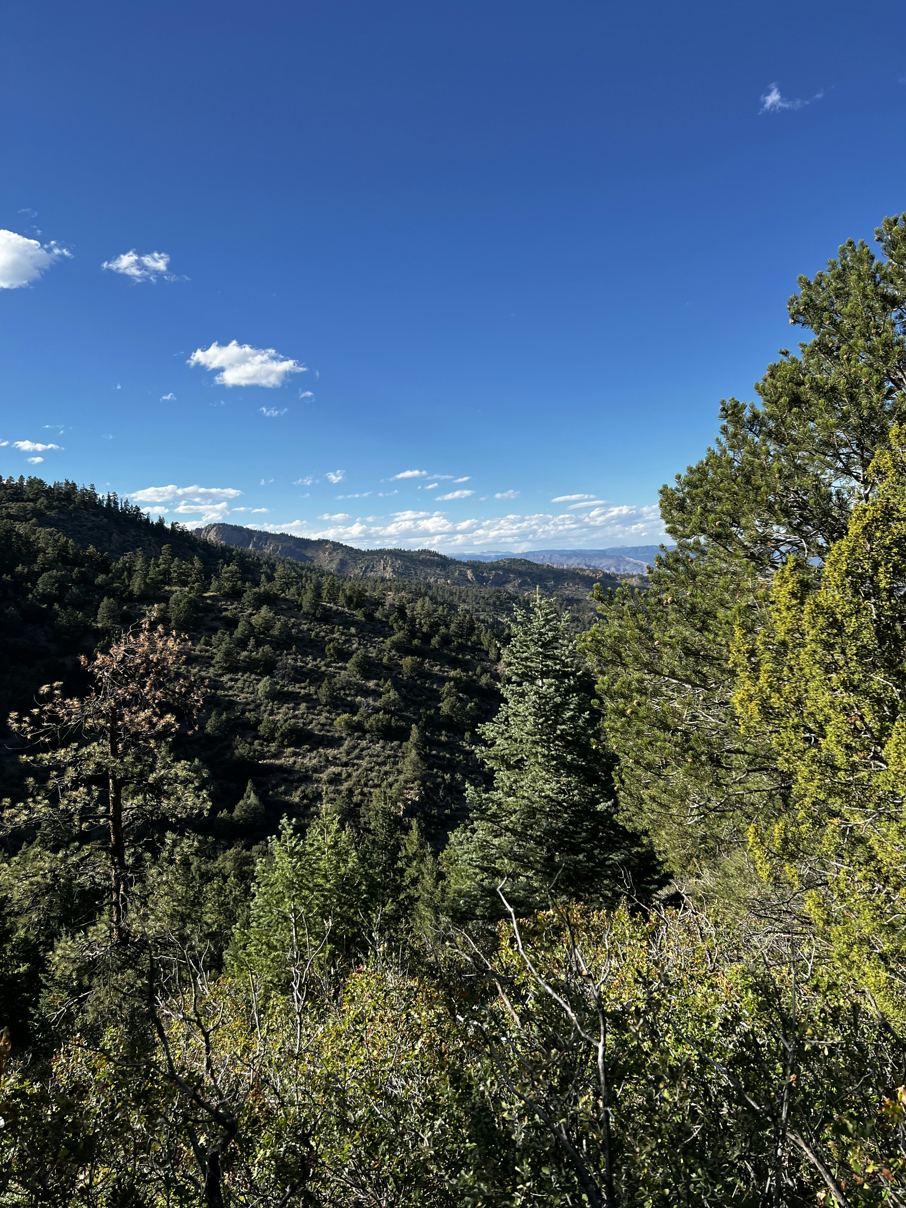 Photo by laitonbarbo