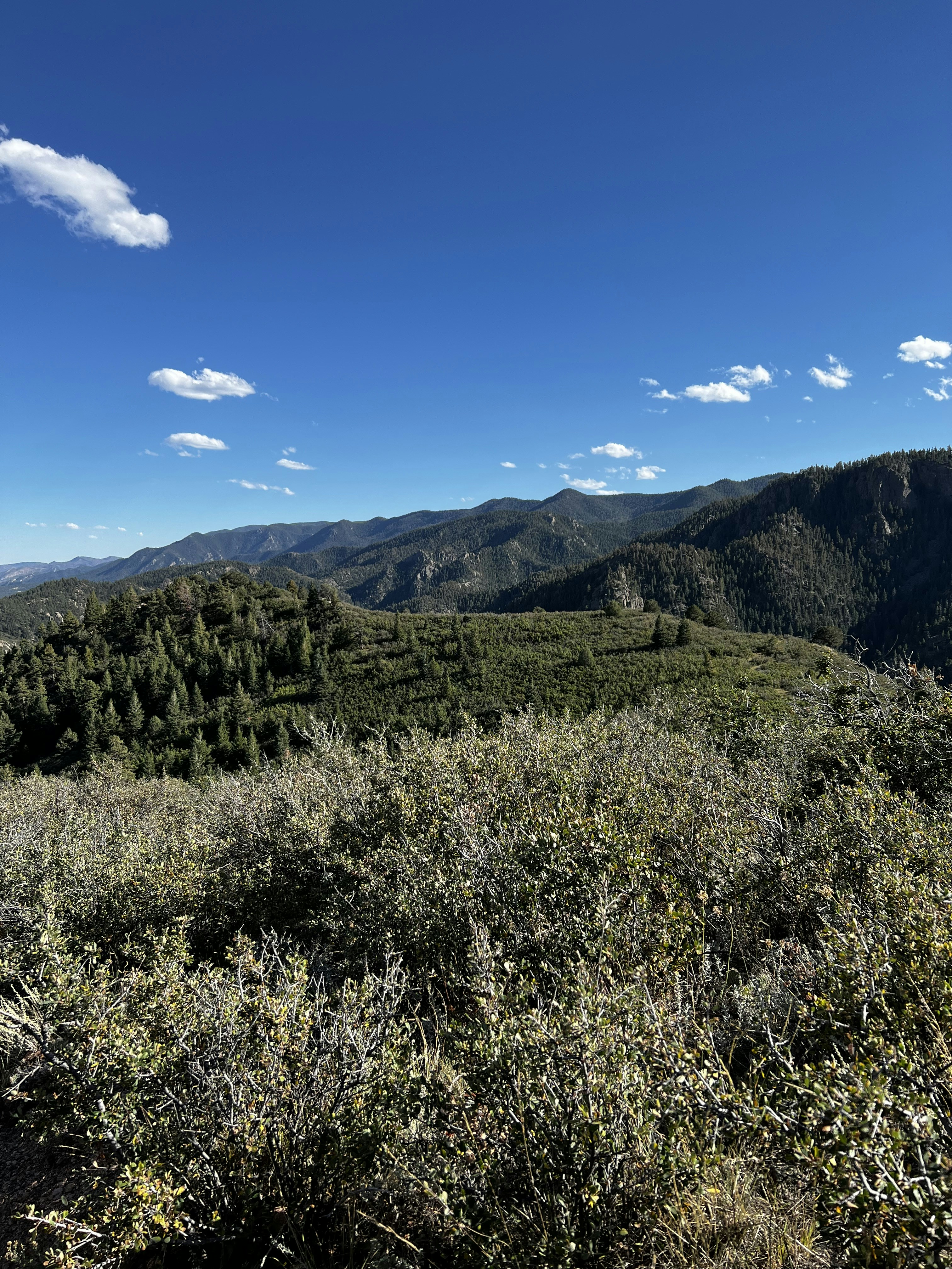 Photo by laitonbarbo