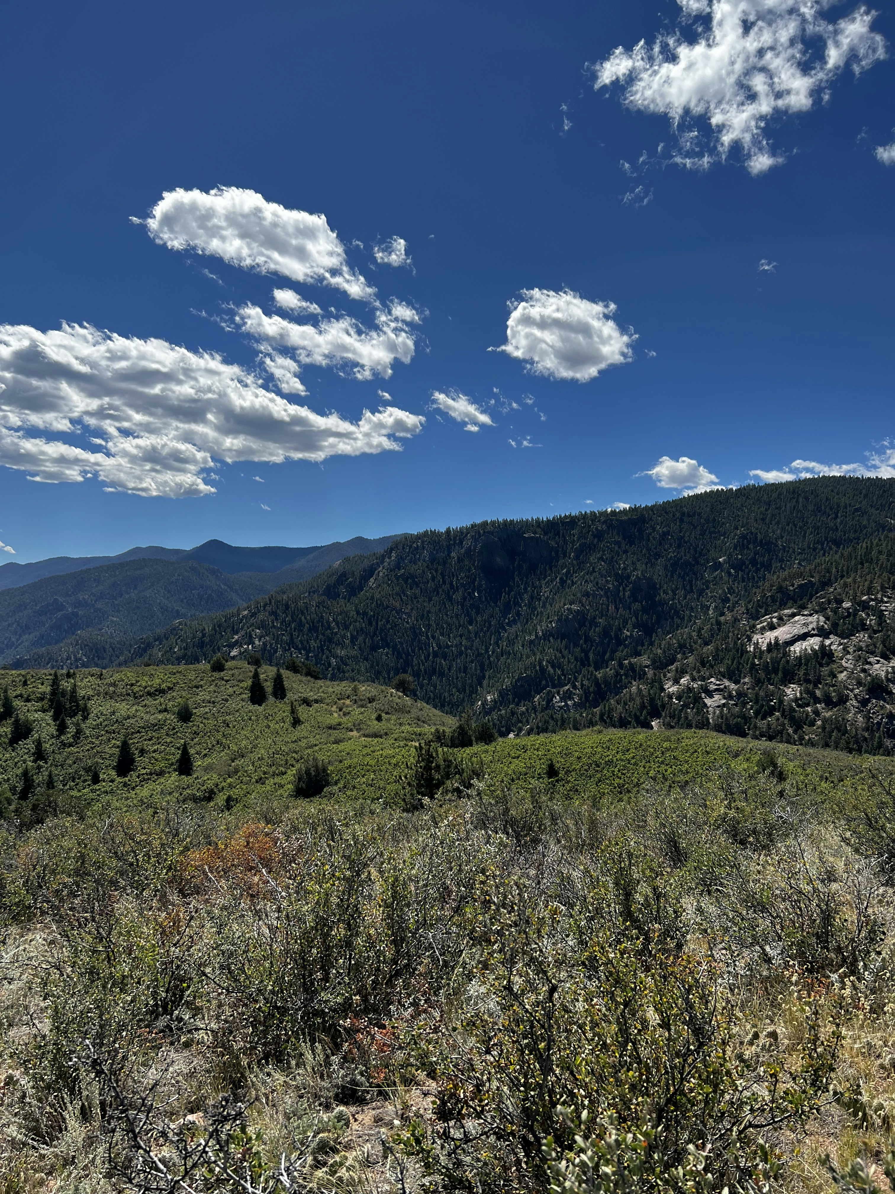 Photo by laitonbarbo