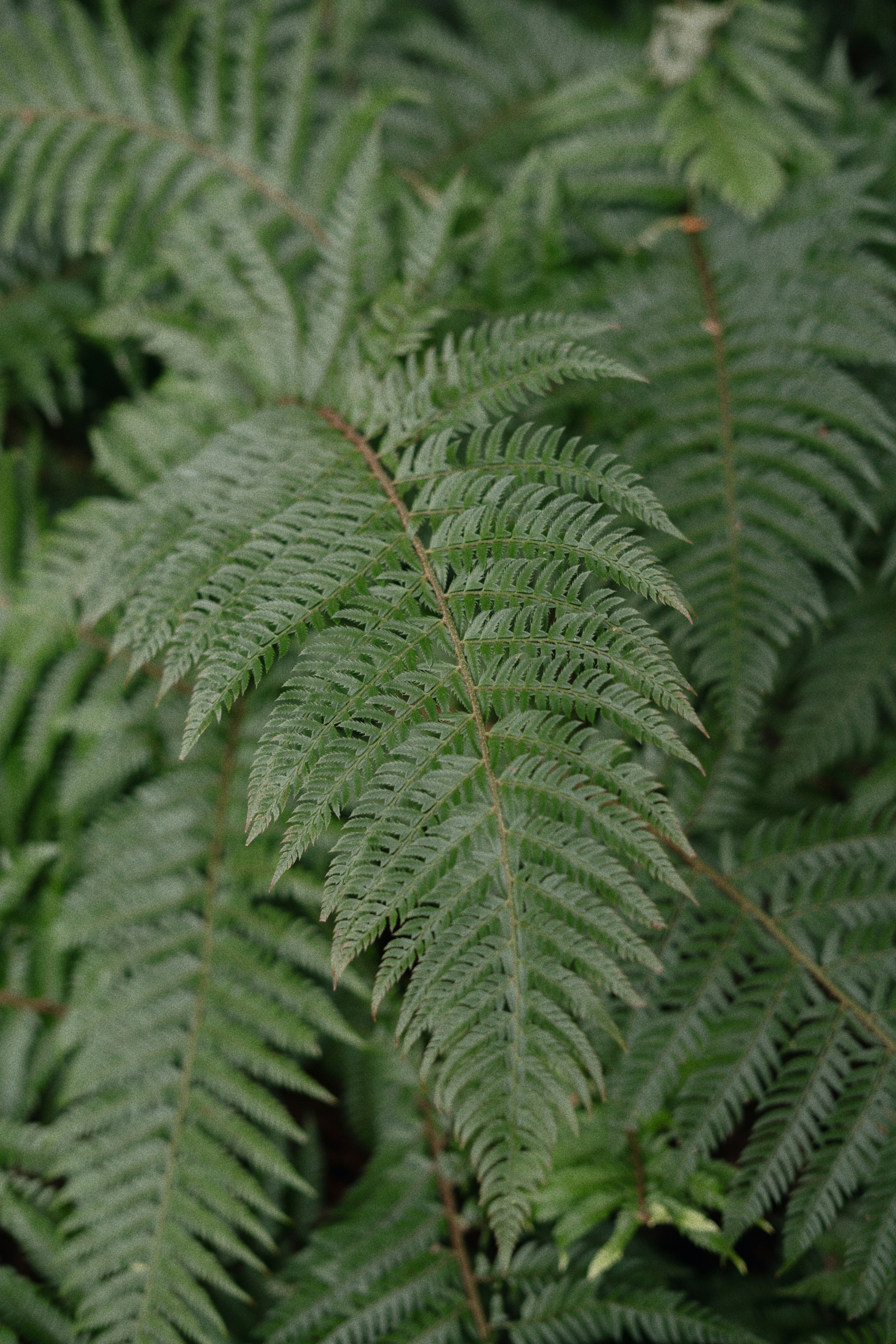 Photo by olenkasergienko