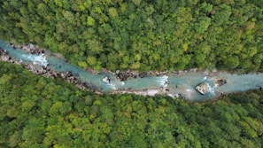 An aerial view of a winding river through a lush green forest with a plane shadow visible