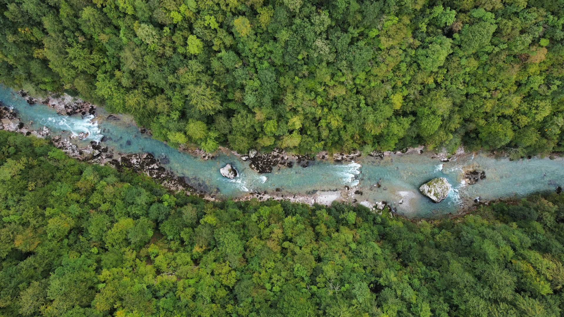 An aerial shot taken by a drone showing a lush green forest with winding rivers cutting through the landscape.