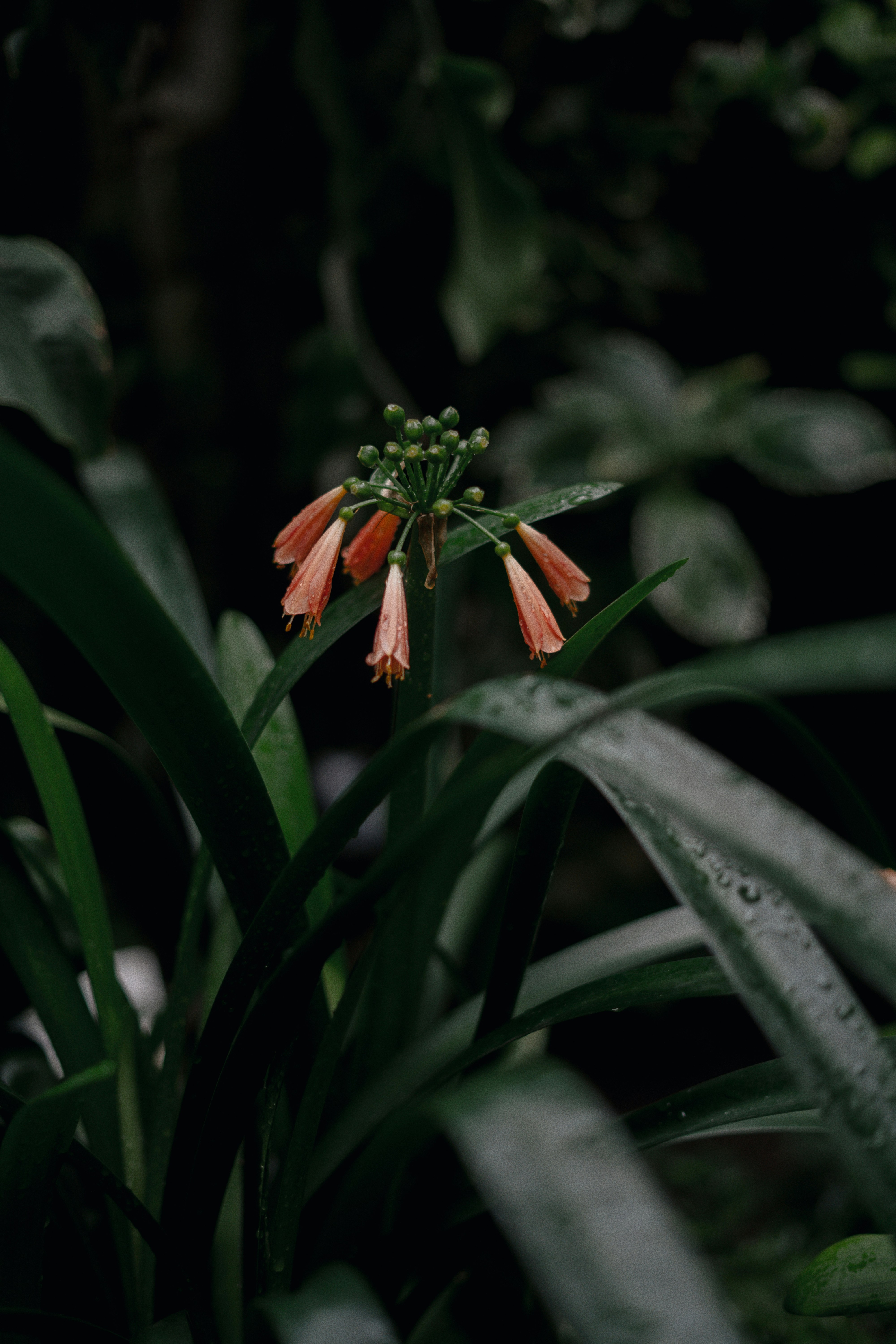 Photo by olenkasergienko