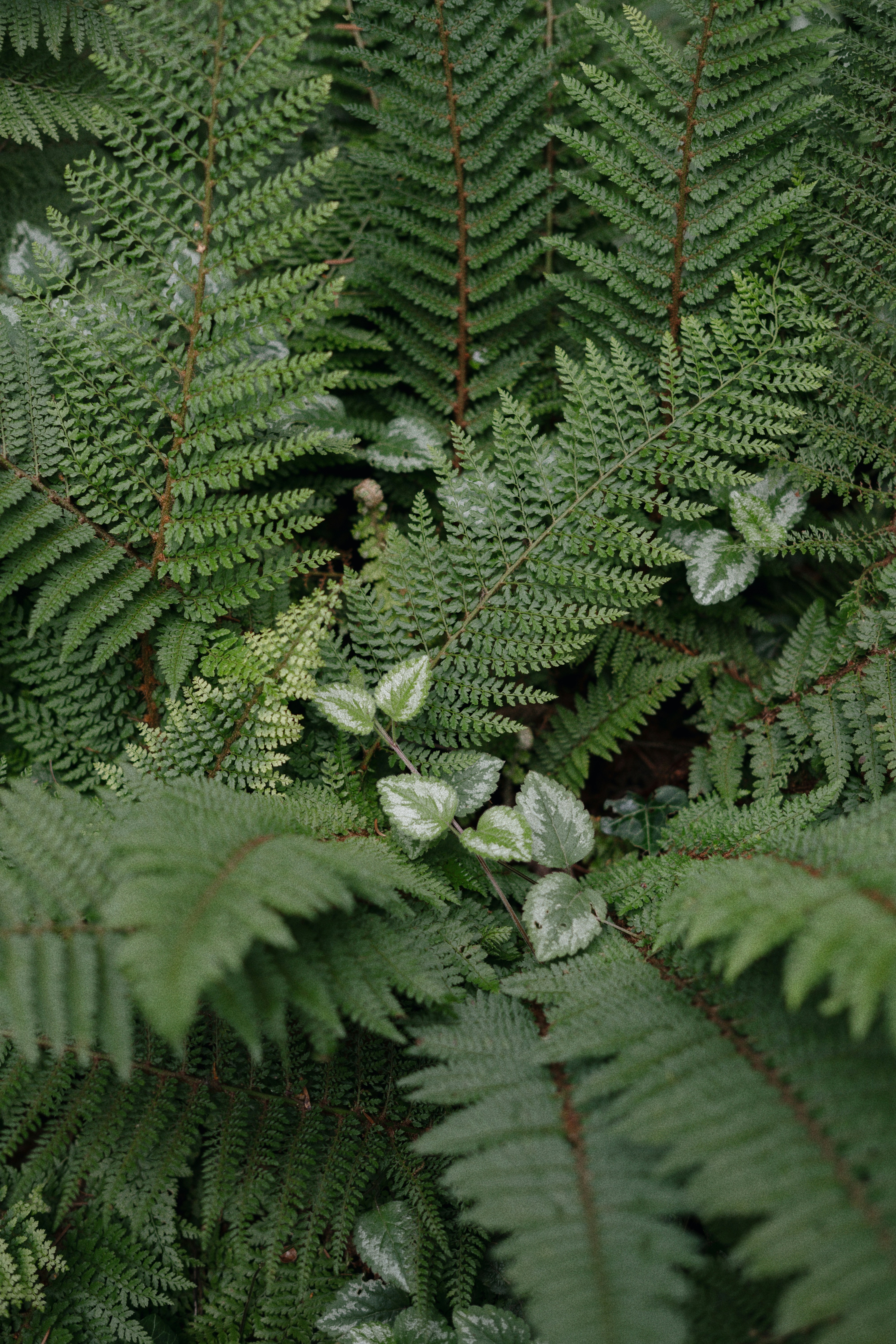 Photo by olenkasergienko