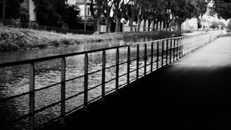 a black and white photo of a river with a fence and trees