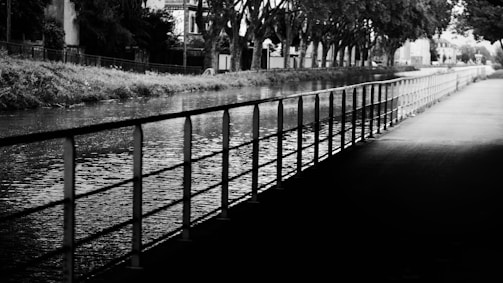 a black and white photo of a river with a fence and trees