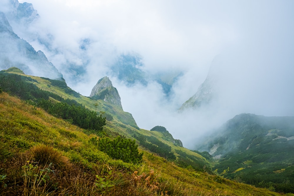 a valley with fog and mountains