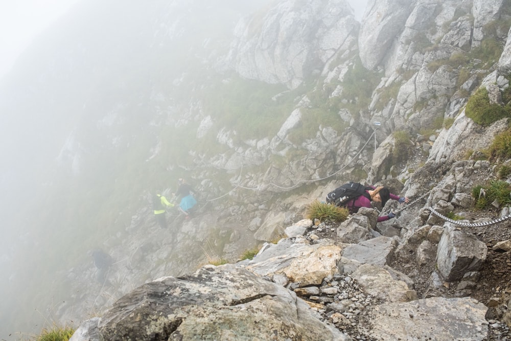 a group of people climbing a mountain