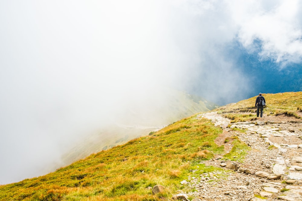 a person walking on a path in a grassy area