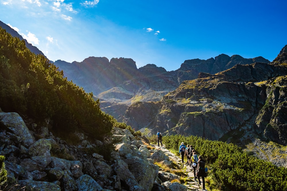 a group of people hiking in the mountains