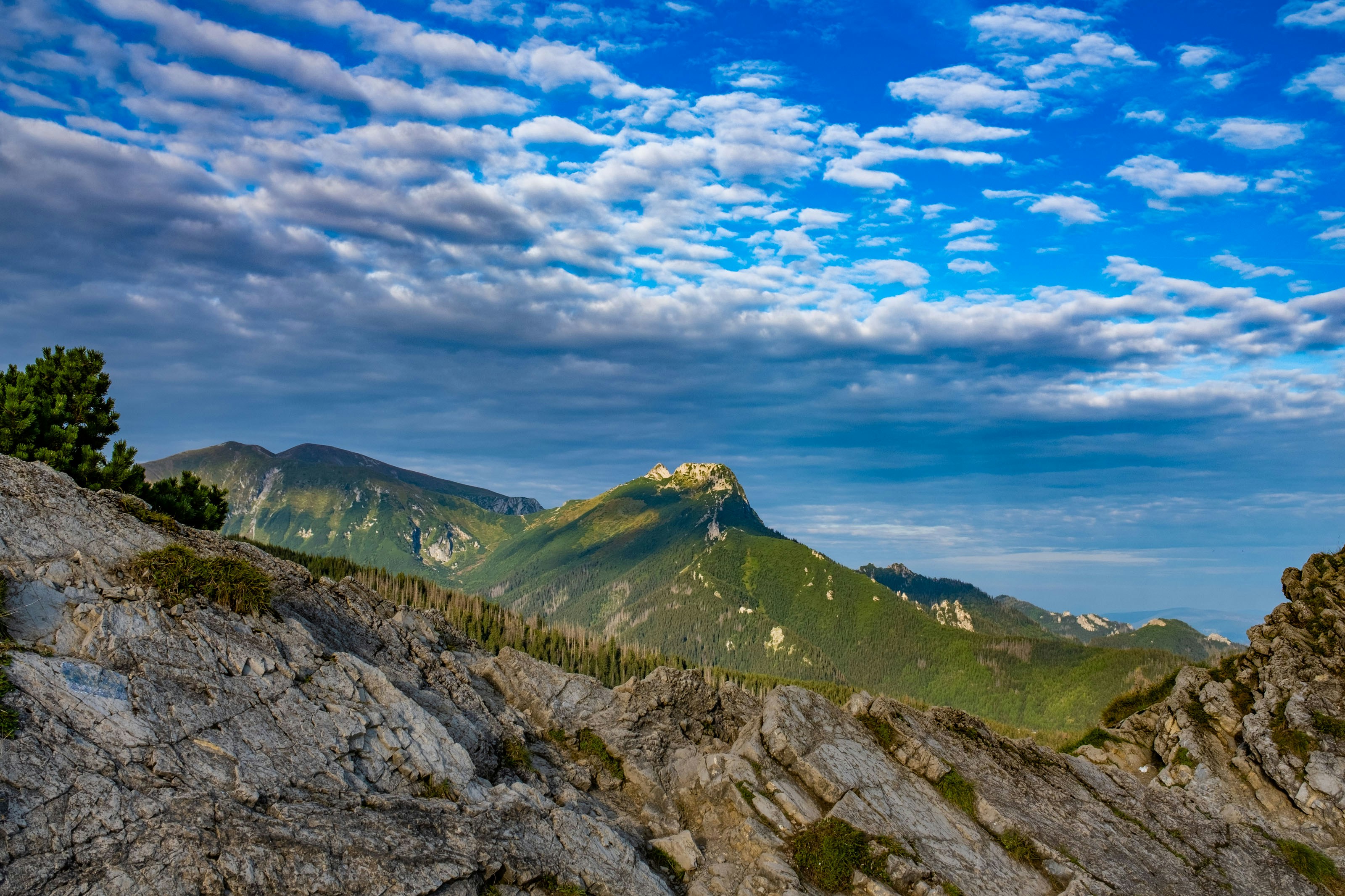 Photo by tomjur