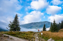 a person walking on a trail in a grassy area with trees and mountains in the background