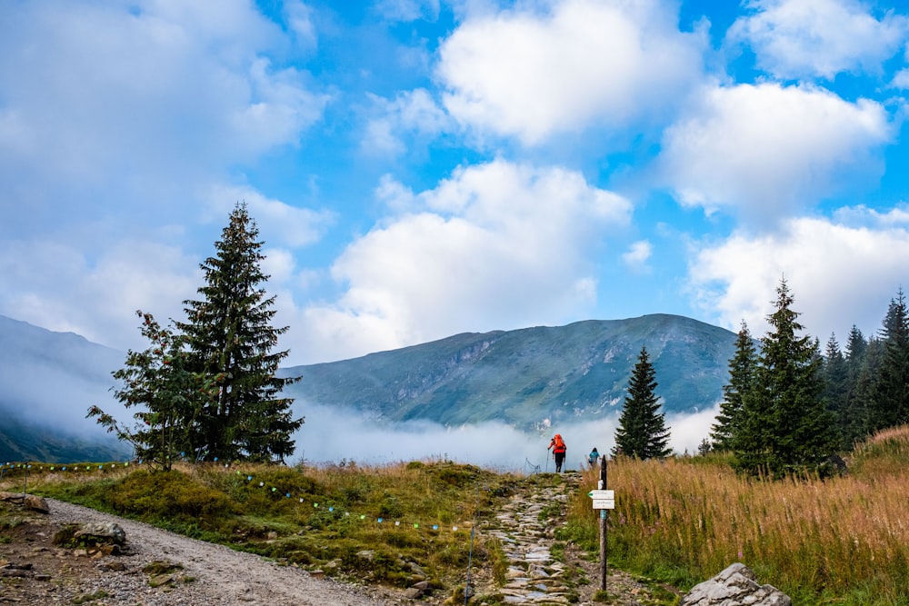 a person walking on a trail in a grassy area with trees and mountains in the background