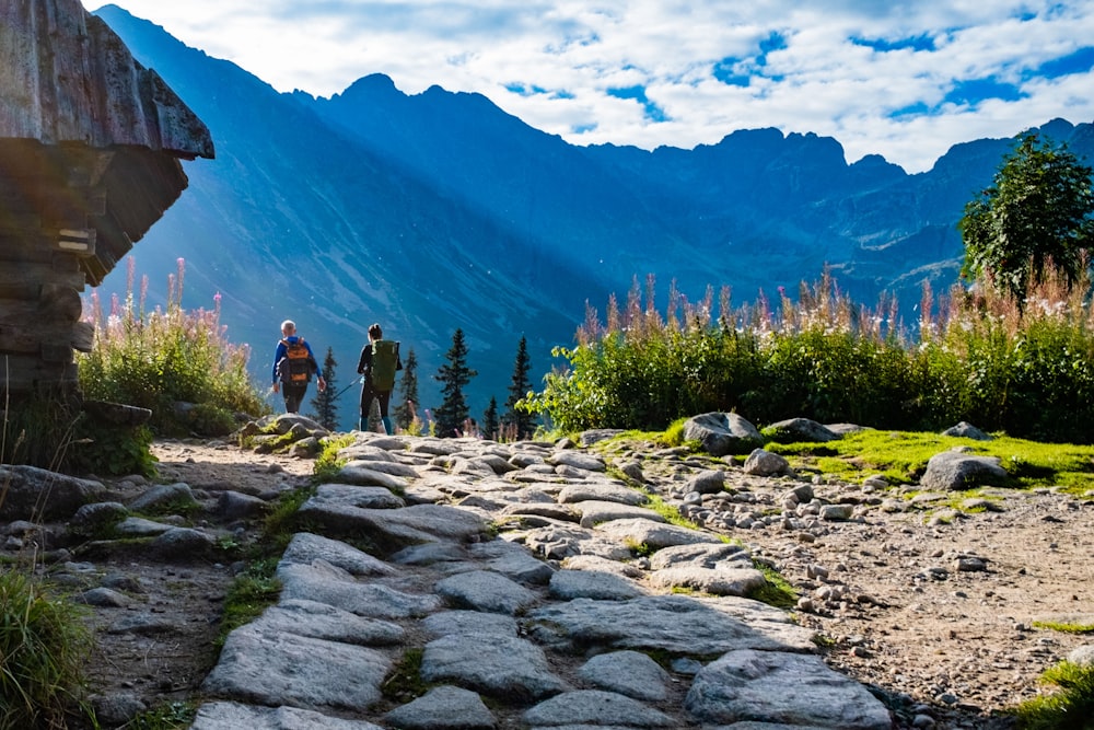a group of people standing on a rocky path in front of a mountain