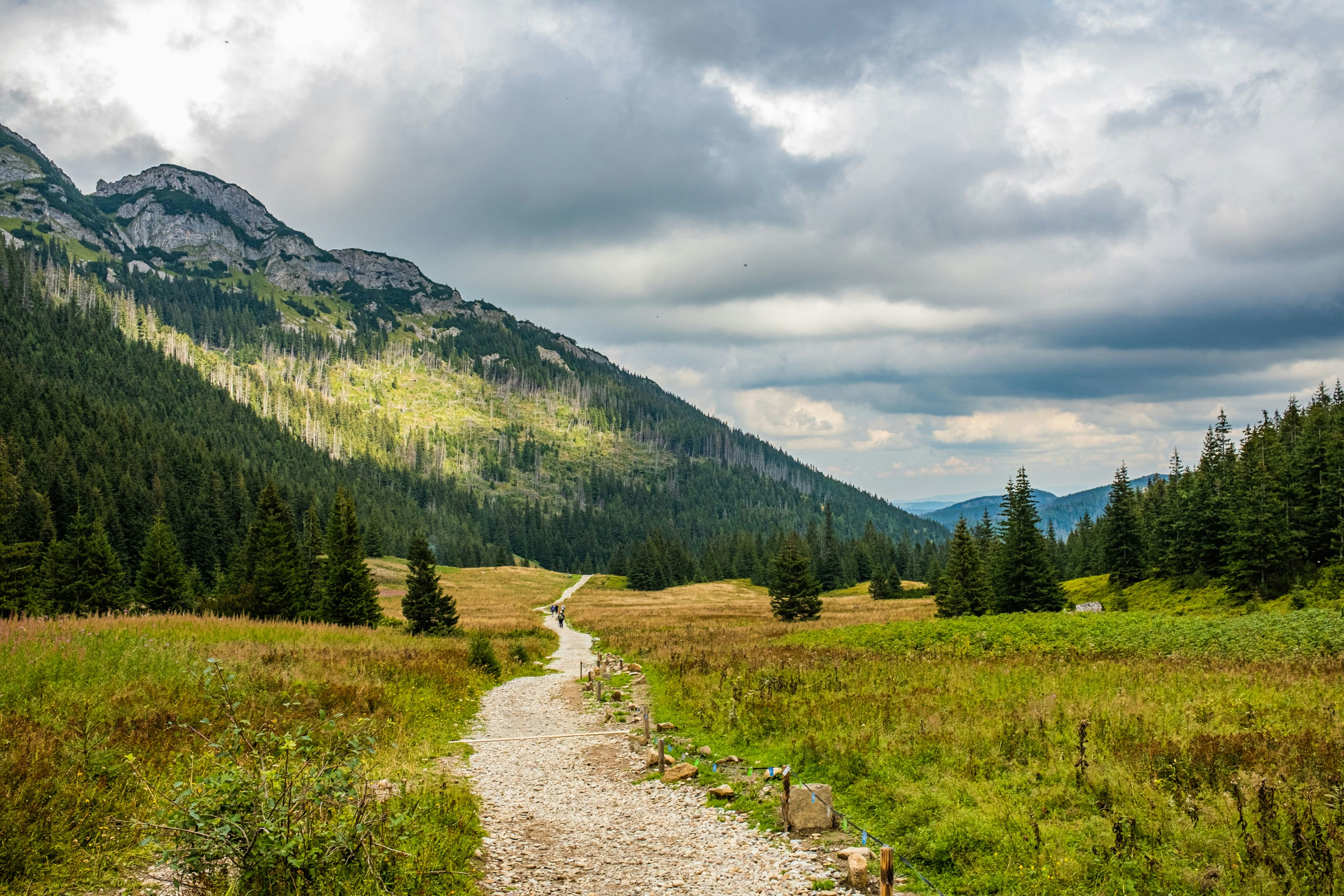 a dirt road in a valley with trees and mountains in the background