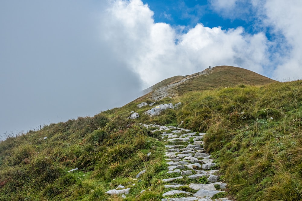 a rocky hillside with grass and rocks