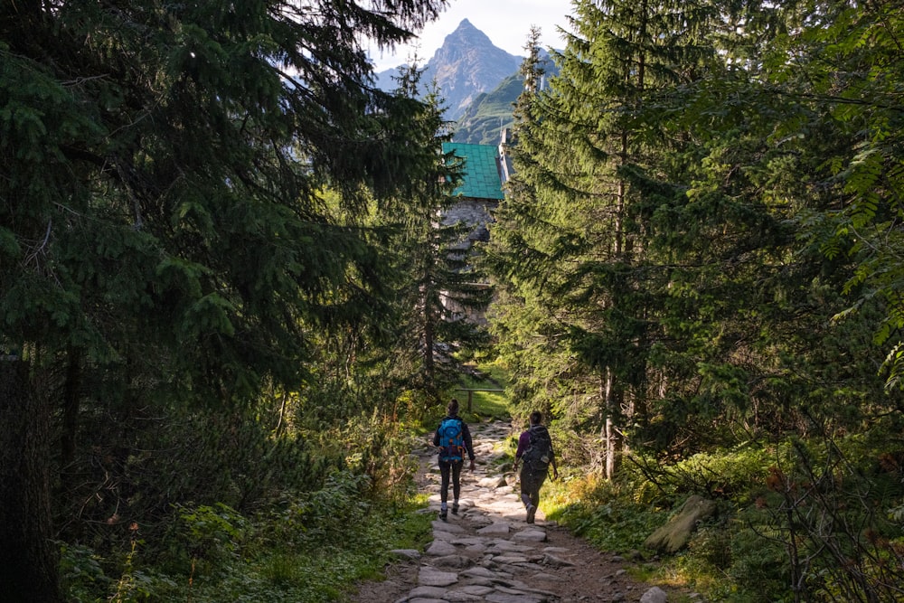 a couple people walking on a trail in the woods