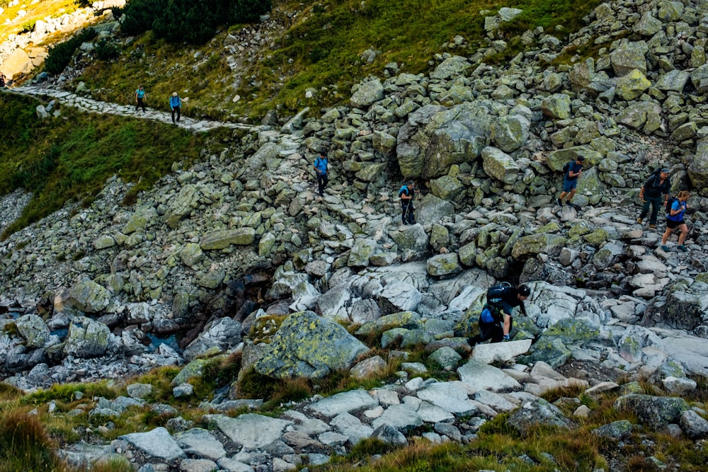 a group of people hiking