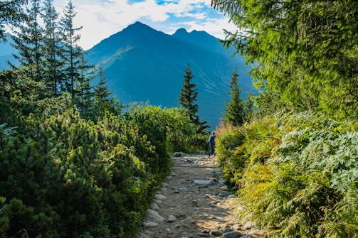 a person walking on a trail in the mountains