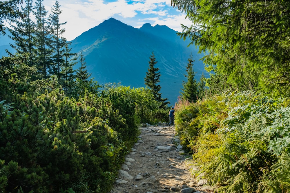 a person walking on a trail in the mountains