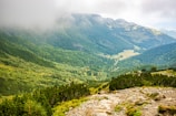 A lush green mountain trail winding through dense forest under a cloudy sky.