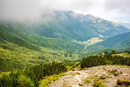 A lush green mountain trail winding through dense forest under a cloudy sky.