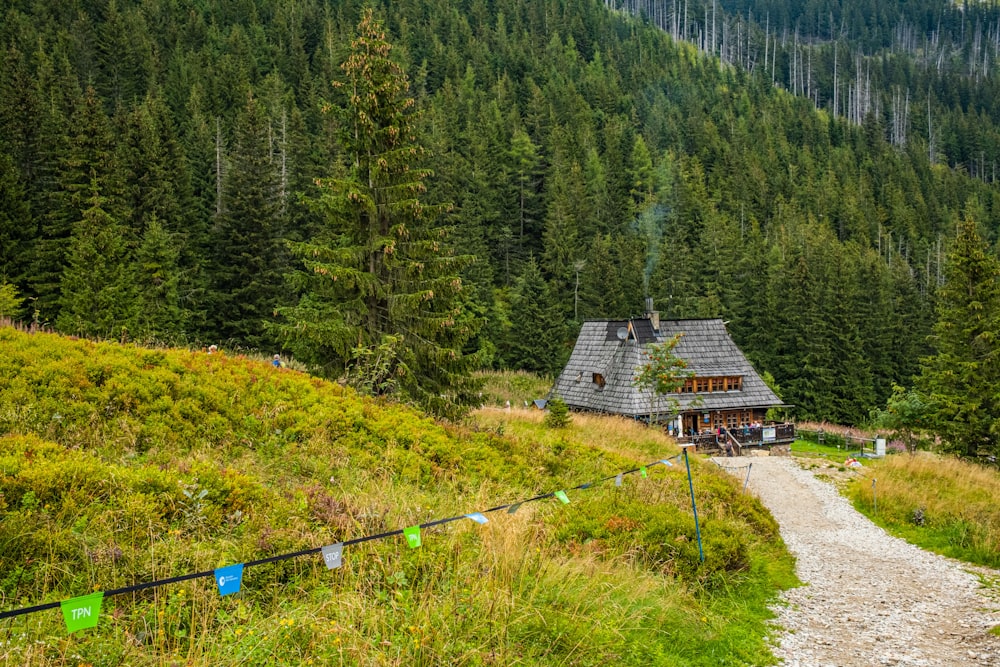 a house in a wooded area