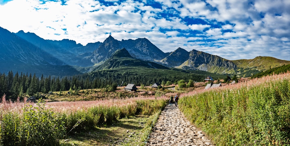 a group of people walking on a trail in a valley with mountains in the background