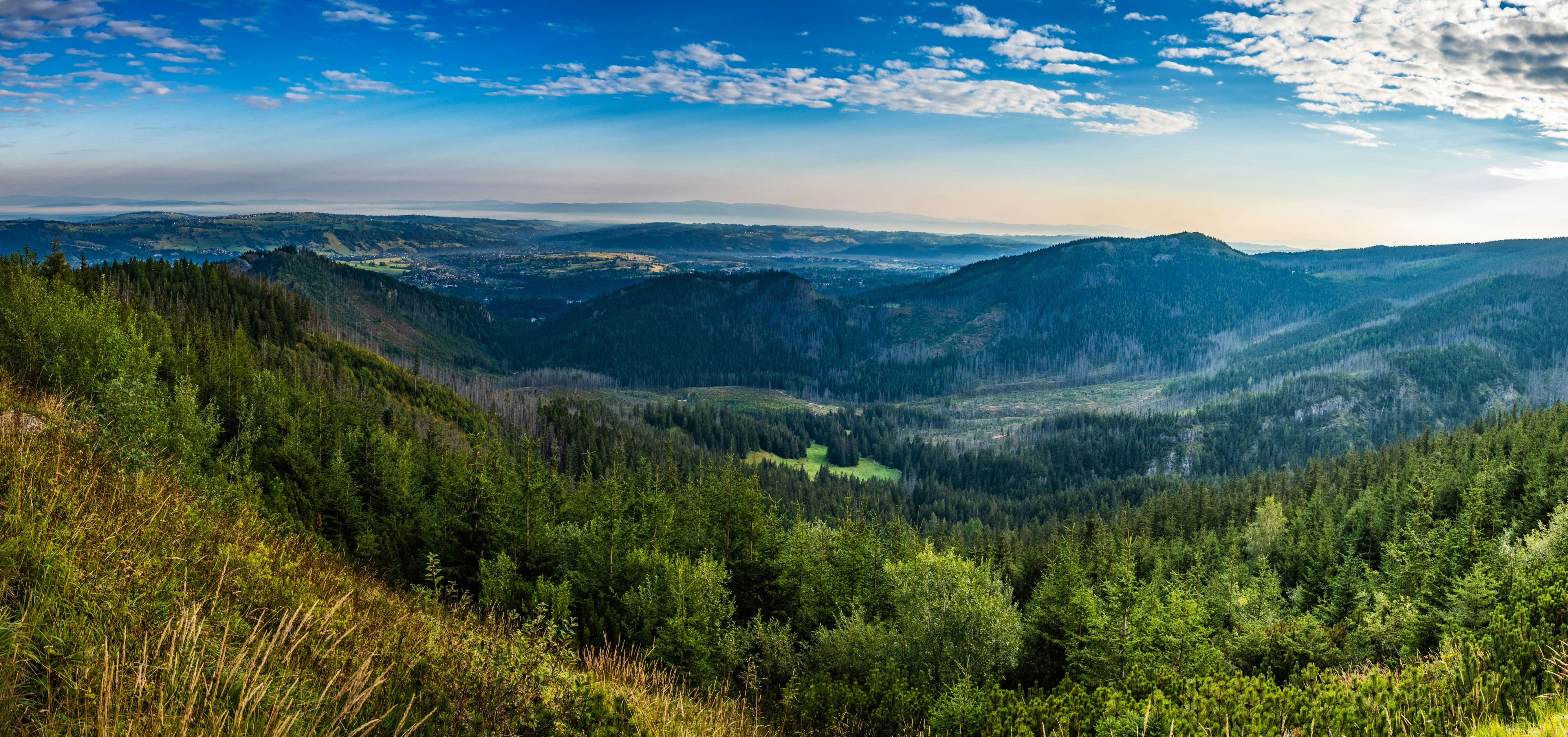Eine Landschaft mit Bäumen und Hügeln