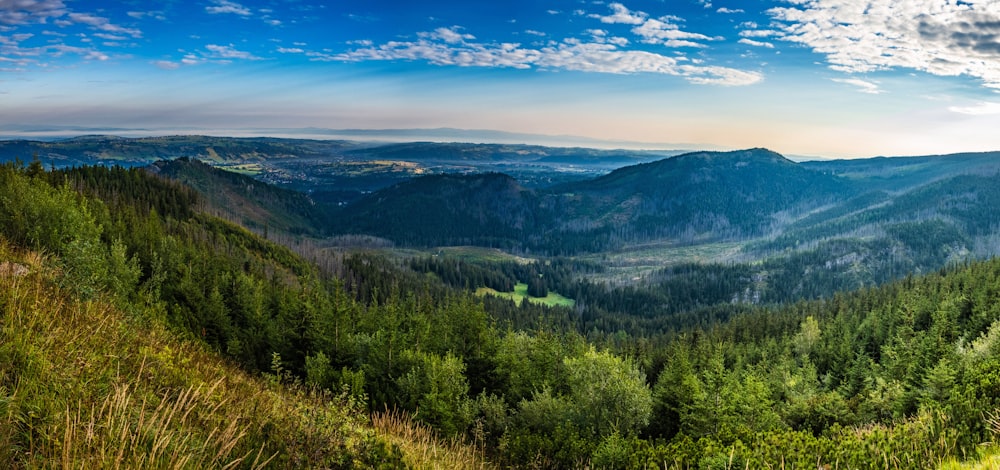 a landscape with trees and hills