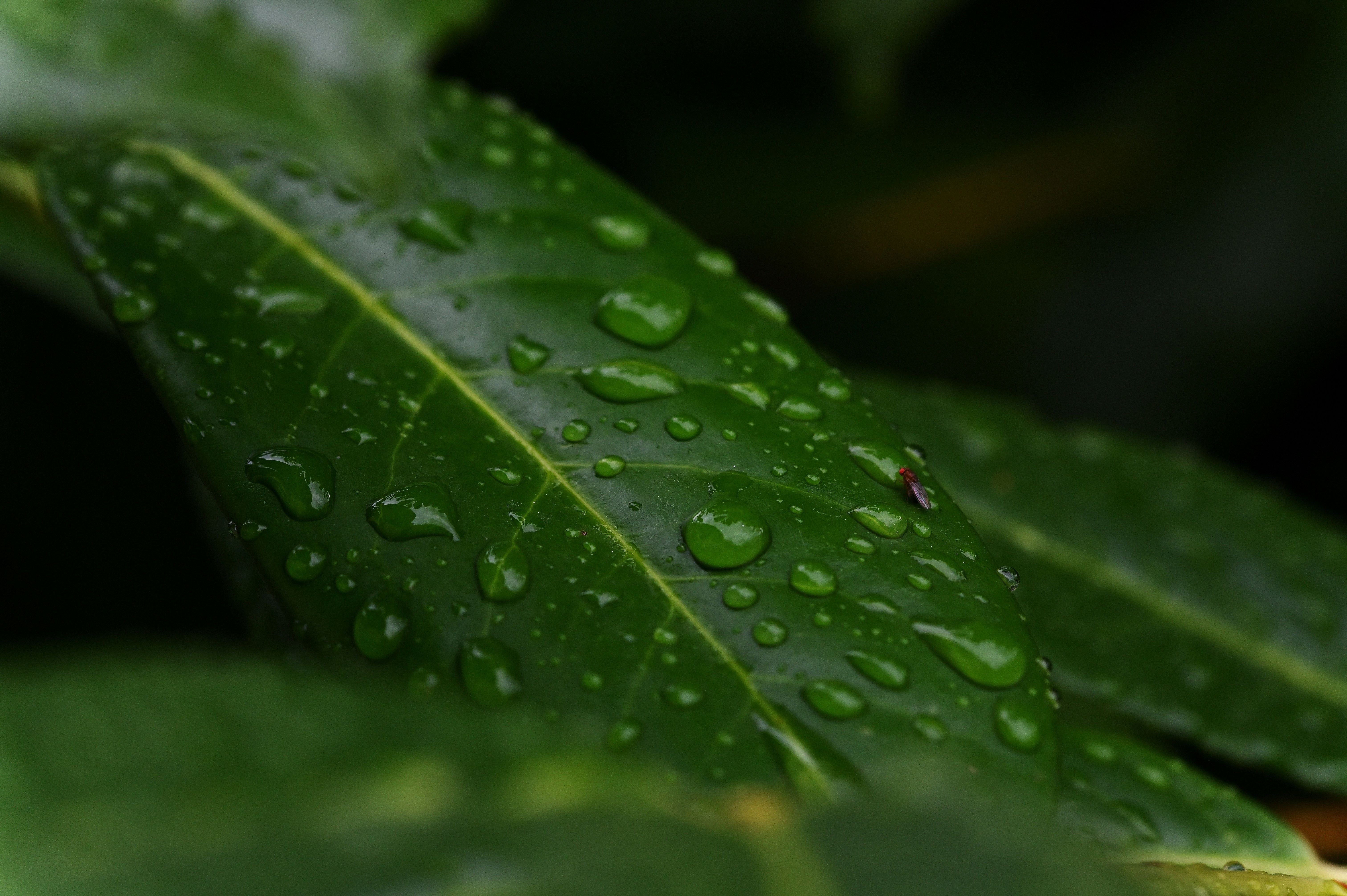 Photo by oneev_darker_photography