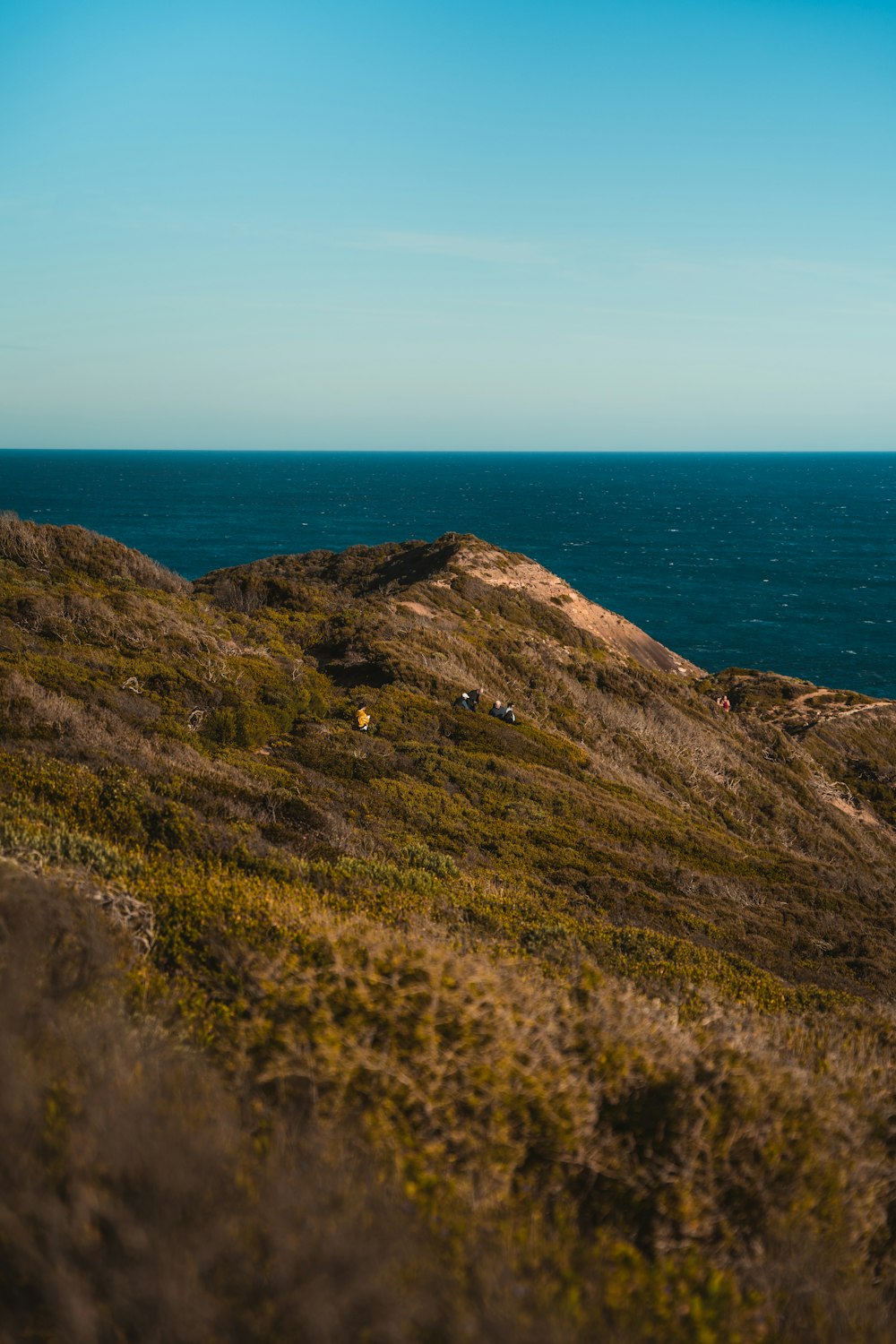 a rocky hillside overlooking the ocean