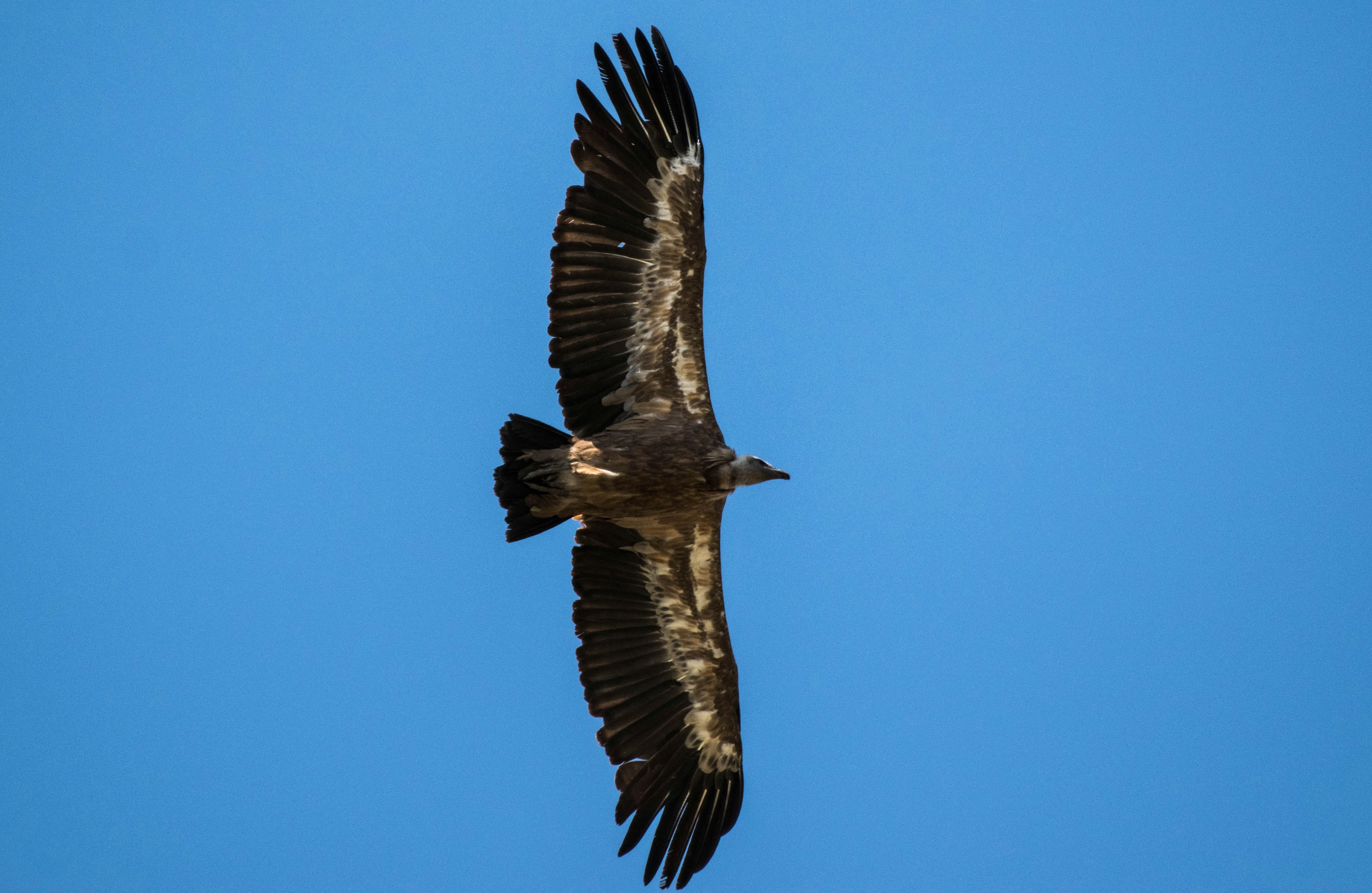 Photo by ptrlt_photo